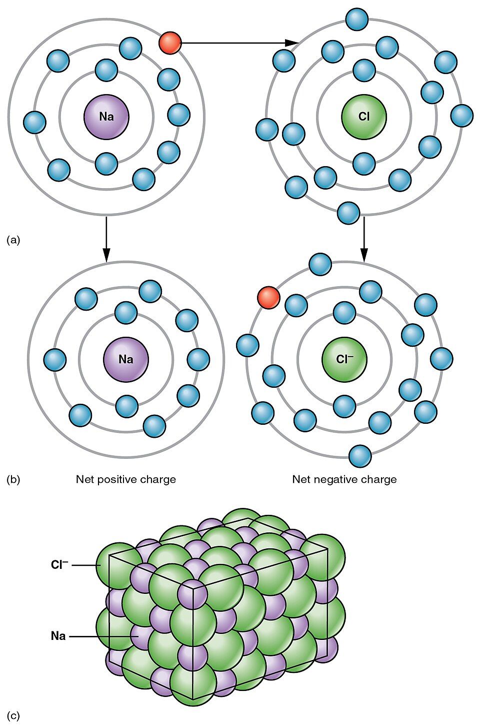Diagram of ionic, covalent, and hydrogen bonds