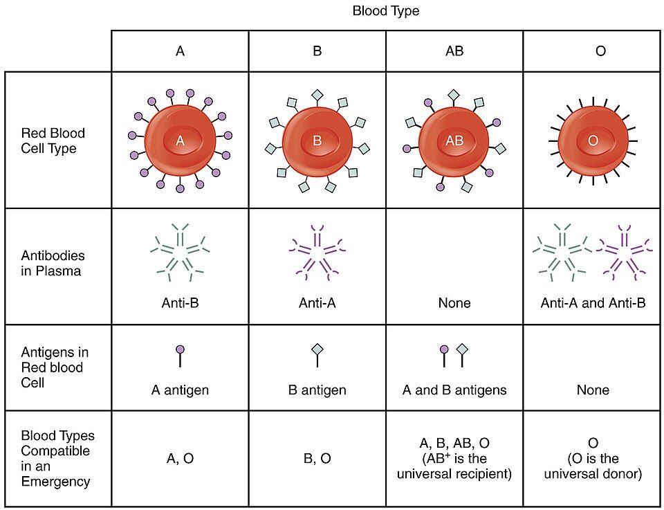 Blood Types reference figure