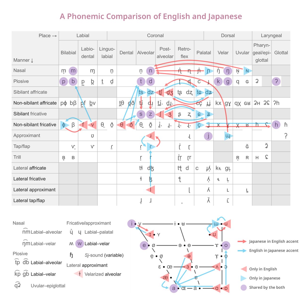 A chart comparing the phoneme inventories of English and Japanese