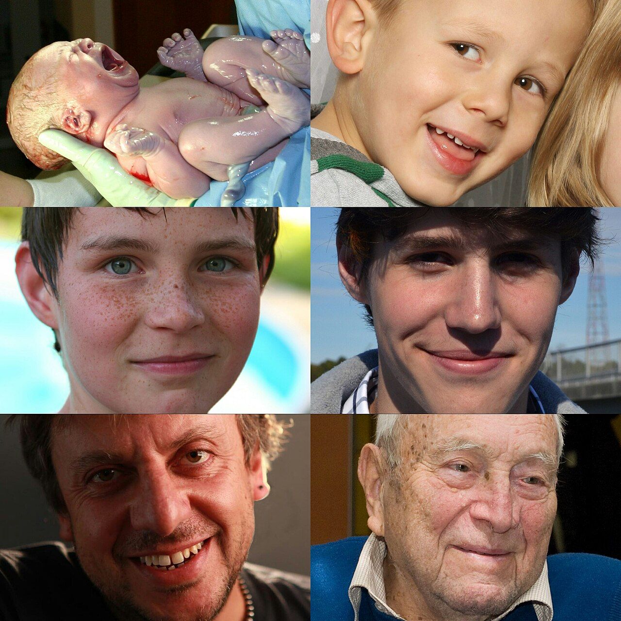 A collage showing the human lifespan from infancy through old age