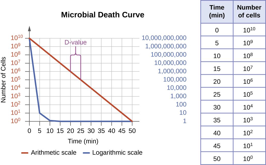 A logarithmic microbial death curve showing populations dying at a constant rate