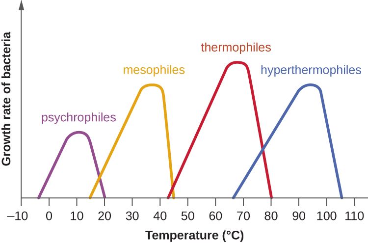 Growth-rate curves showing psychrophiles, mesophiles, and thermophiles at different temperatures