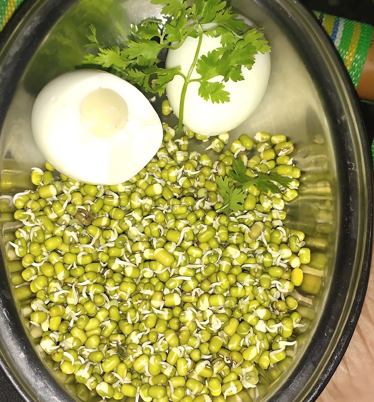 An assortment of protein-rich foods including meat, fish, eggs, dairy, and legumes