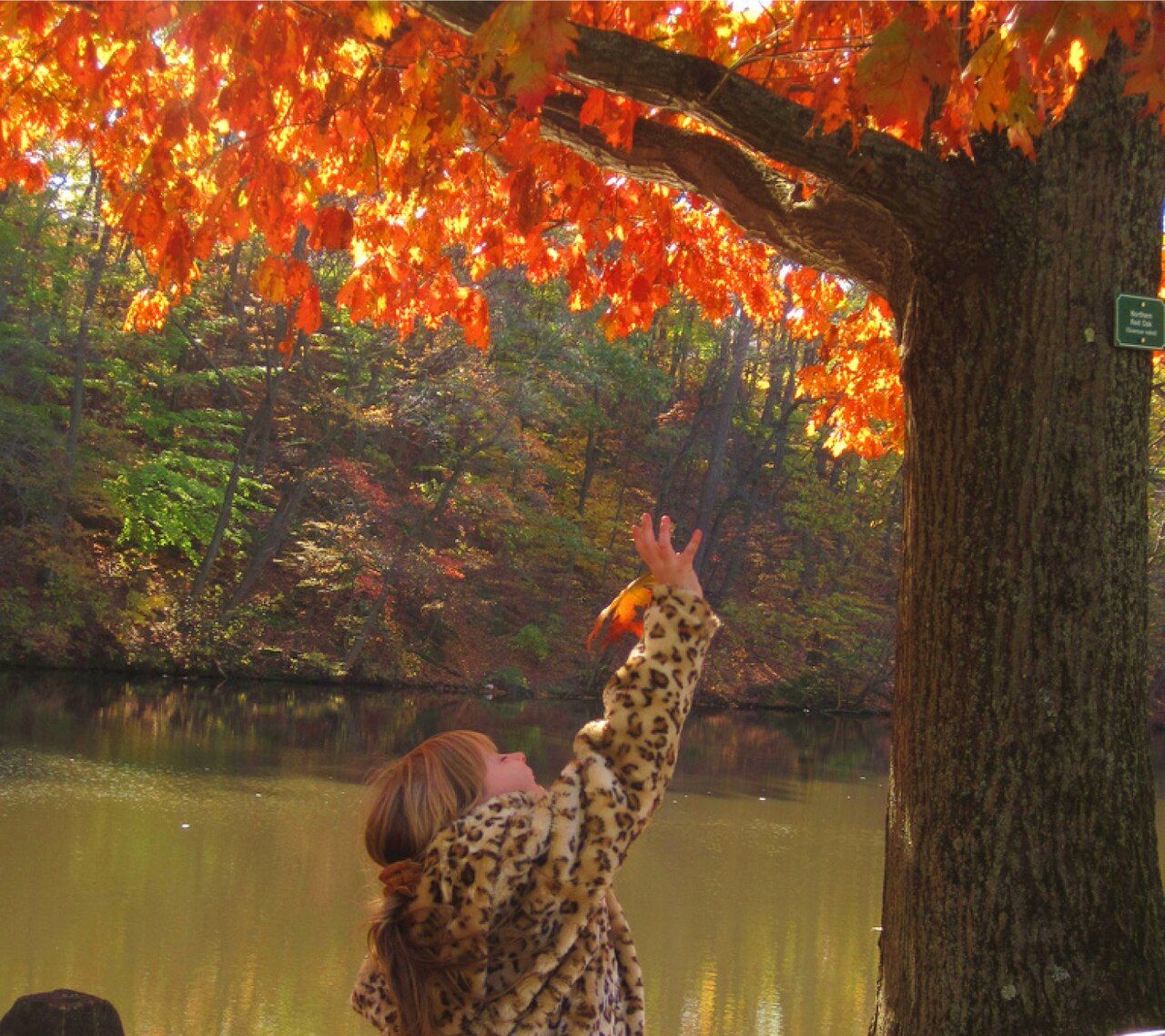 A young child reaching to catch a falling leaf