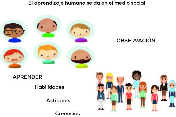 Social learning theory: people learn helping and aggression by observing models