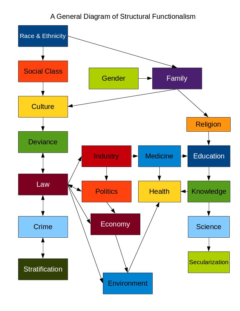 A diagram illustrating the structural-functionalist view of society as interrelated parts